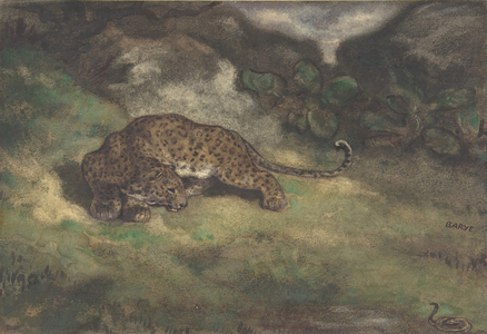 Leopard and Serpent, 1810–75 (w/c on laid paper)