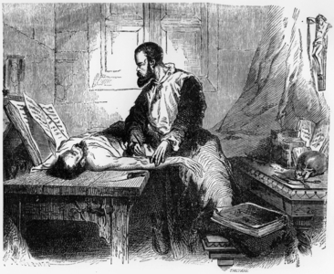 Andre Vesale (1514-1564) flemish doctor, engraving