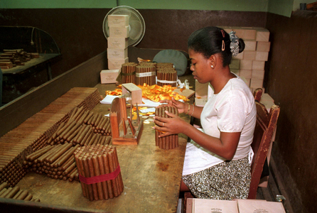 Worker making hand-rolled cigars in a cigar factory in Havana..., 1999 (photo)
