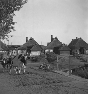 Villages on the Pomeranian Baltic coast, 1930s (photo)