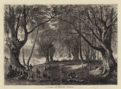 A View in Epping Forest (engraving)