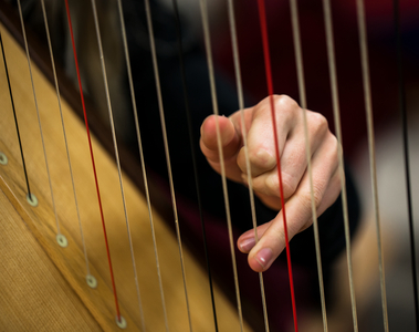 Hand of a harpist playing, 2014 (photo)