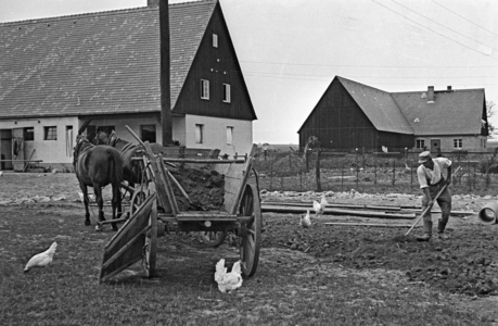 Farm in Haage, 1936 (photo)