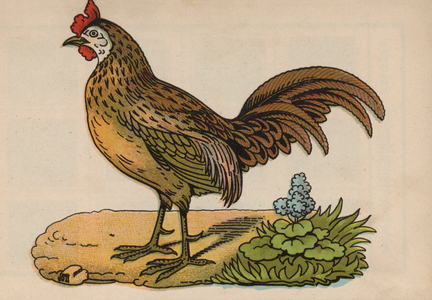 Page from the Magical Book (colour litho)
