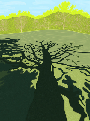 Shadow of Tree  On Field, Brooklyn (digital art)