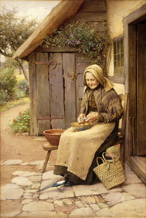 A Fine-Feathered Friend (w/c on paper)