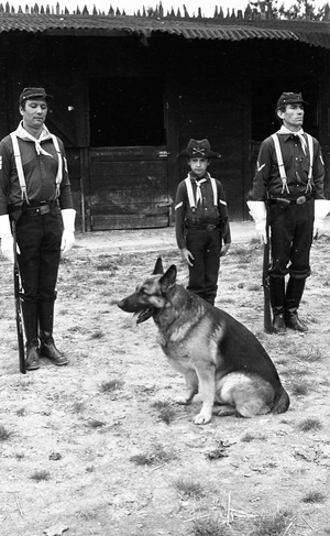 The dog-actor Mabrouk turns an episode of Rin Tin Tin "The attack on the train" from Jose Giovani, France, 06/1981