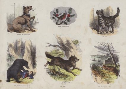 Page from the Attractive Picture Book (coloured engraving)