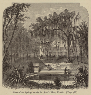 Green Cove Springs, on the St John's River, Florida (engraving)