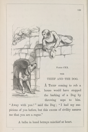 The thief and the dog
