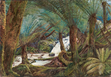 A natural fernery in Victoria, 1880 (oil on board)