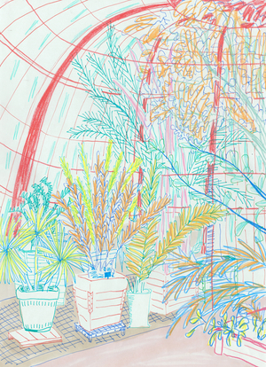 Palm House, 2018 (coloured pencil, pen)