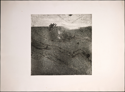 EARLY PRINTS 315239 (print)