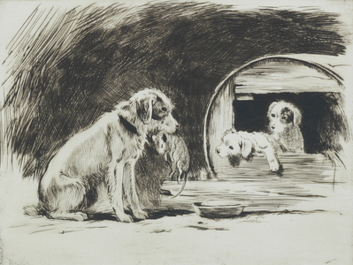 Terrier with catch for pups (etching)