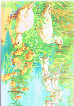 Ducks and ducklings, illustration from 'Folio of School posters. Printers unknown', c.1940-65 (colour litho)