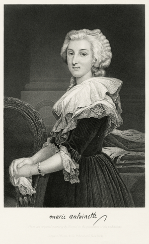 Marie Antoinette (1755-93), Queen of France, Wife of Louis XVI, Half-Length Portrait, Steel Engraving, Portrait Gallery of Eminent Men and Women of Europe and America by Evert A. Duyckinck, Published by Henry J. Johnson, Johnson, Wilson & Company, New York, 1873 (print)
