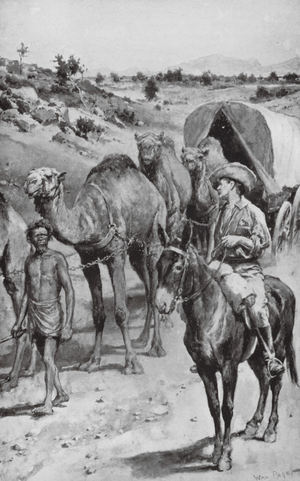 A Camel-Caravan, Western Australia (litho)