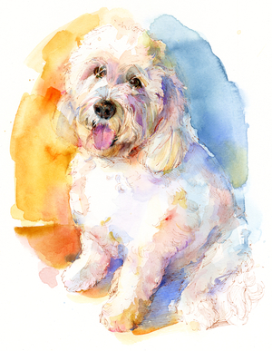 Oliver portrait, 2016 (watercolor)