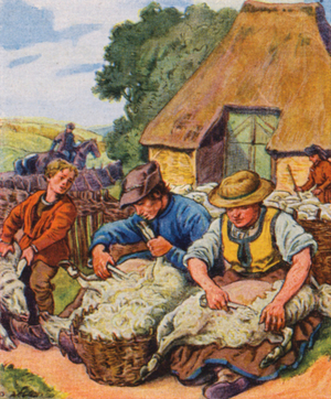 Hirtenleben (Schafschur) / Pastoral Life (Sheep Shearing) (colour litho)