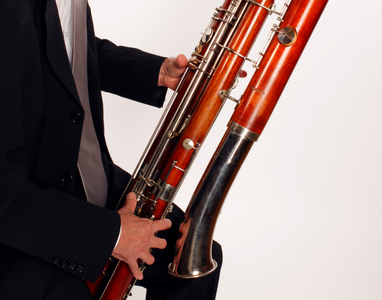 Contra Bassoon player