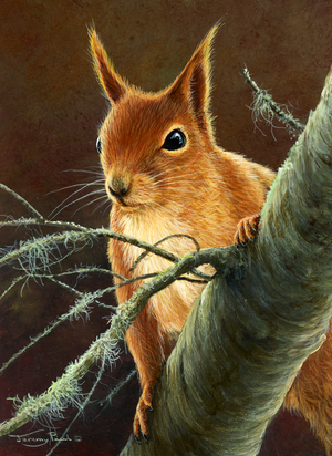 Red squirrel, 2022 (acrylic)