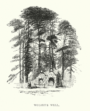 Wolsey's Well (engraving)