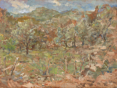 Turkish Olive Trees off Track (oil on panel)