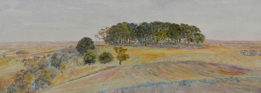 One of the Wittenham Clumps or Sinodun Hills, Berkshire, c.1870-90 (w/c)