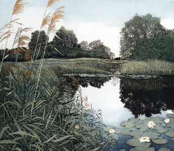 Wicken Fen, 1982 (etching and aquatint)