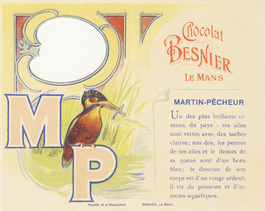 M P uppercase letters and description of the Kingfisher,1890 (chromolithography)