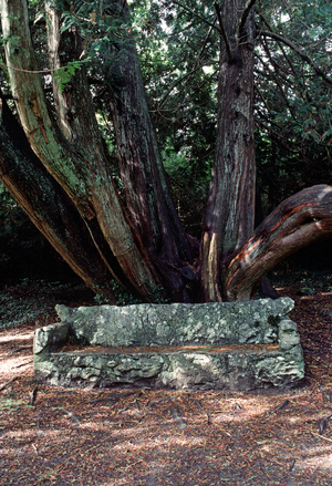 Stone Seat In Coole Park. Coole Park House, Once The Home Of Lady Augusta Gregory Co-Founder Of The Abbey Theatre With W. B. Yeats And Edward Martyn Of Tulira Castle. Coole Park House Was Demolished In 1941 After Having Been Left In A State Of Disrepair After The Death Of Lady Gregory In 1932.  (photo)