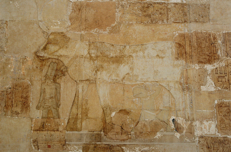 Mortuary Temple of Queen Hatshepsut: Hathor chapel, the goddess in her bovine form, with crown, is fed by Hatshepsut (photograph)
