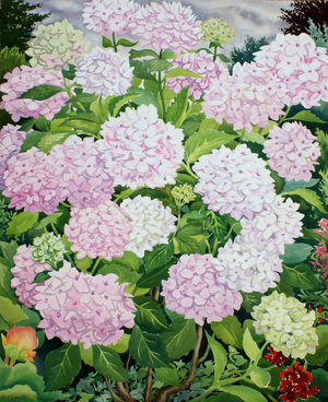 White Hydrangea, 2019 (watercolour and gouache on paper)