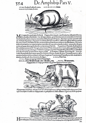 Medici Tigurini Historiae animalium