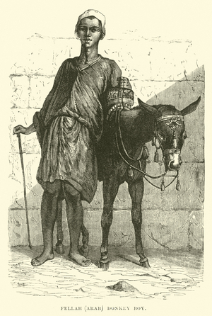 Fellah, Arab; donkey boy (engraving)