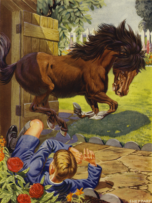 A lively pony (colour litho)