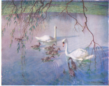 The age of innocence (colour litho)
