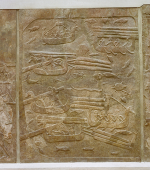 Transport of cedar …