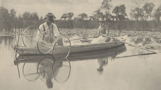 Setting the Bow-Net,1886 (photo)