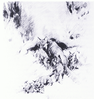 Rabbit for dinner (litho)