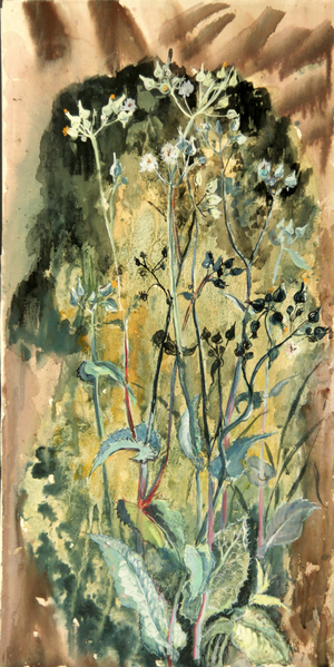 Wild Flowers, 1977 (gouache on paper)