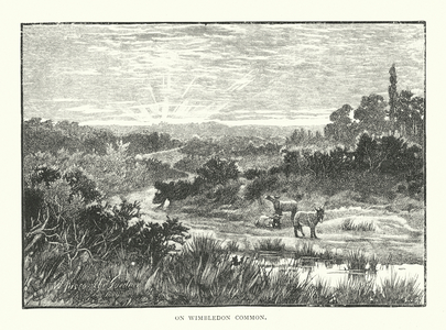 On Wimbledon Common (engraving)