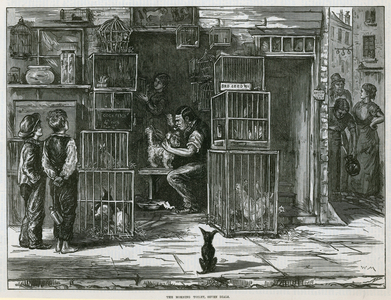 The Morning Toilet, Seven Dials (engraving)