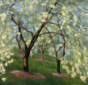 Blossoming cherrys in the garden in Lysaker (painting)