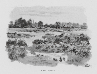 Ham Common (litho)