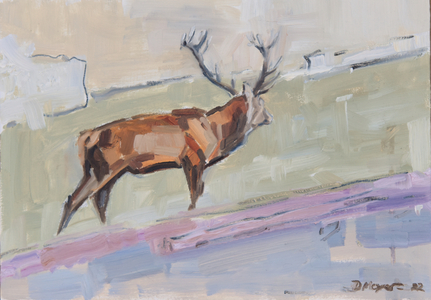 Red Deer Stag 2022 (oil on panel)