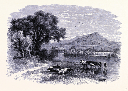 Hillock United States of America