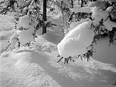 Wintertime landscape at East Prussia, 1930s (b/w photo)
