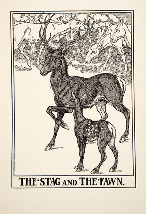 The Stag and the Fawn, from A Hundred Fables of Aesop, pub.1903 (engraving)