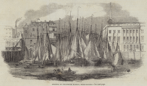 Opening of the Oyster Market, Billingsgate (engraving)